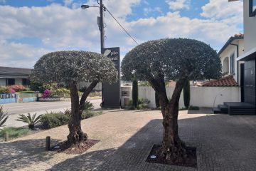 Poda e abates